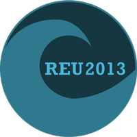 REU2013